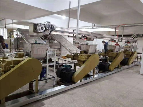 全自動酸漿米線機 酸漿米線機 誠瑞達食品機械