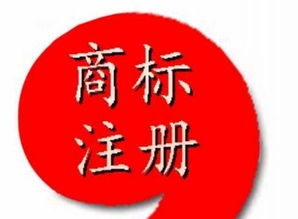 知識(shí)產(chǎn)權(quán)服務(wù)首選指南 為什么西安海納是您的可靠伙伴？